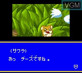 Image in-game du jeu Hamster Monogatari GB + Magi Ham Mahou no Shoujo sur Nintendo Game Boy Color