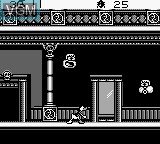 Image in-game du jeu Maui Mallard in Cold Shadow sur Nintendo Game Boy