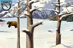 Image in-game du jeu Cabela's Big Game Hunter sur Nintendo GameBoy Advance