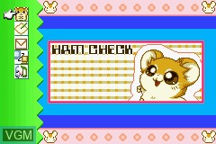 Image in-game du jeu Hamster Monogatari 3 GBA sur Nintendo GameBoy Advance