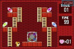 Image in-game du jeu Hamster Monogatari Collection sur Nintendo GameBoy Advance