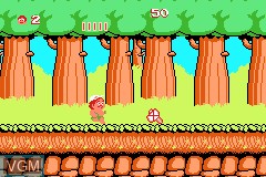 Image in-game du jeu Famicom Mini - Takahashi Meijin no Bouken Jima sur Nintendo GameBoy Advance
