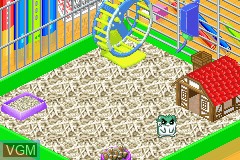 Image in-game du jeu Hamster Monogatari 3EX, 4, Special sur Nintendo GameBoy Advance