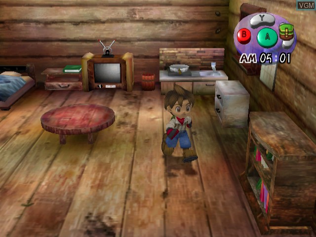 Image in-game du jeu Harvest Moon - A Wonderful Life sur Nintendo GameCube