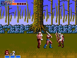 Image in-game du jeu Golden Axe sur Sega Master System