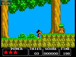 Image in-game du jeu Castle of Illusion Starring Mickey Mouse sur Sega Master System