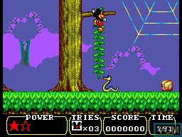 Image in-game du jeu Land of Illusion Starring Mickey Mouse sur Sega Master System