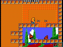 Image in-game du jeu New Zealand Story, The sur Sega Master System