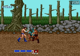 Image in-game du jeu Golden Axe sur Sega Megadrive