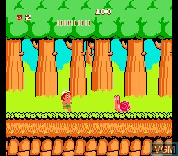 Image in-game du jeu Adventure Island sur Nintendo NES