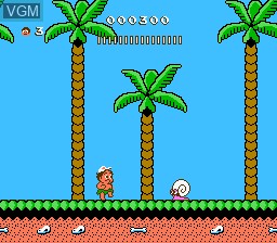 Image in-game du jeu Adventure Island II sur Nintendo NES