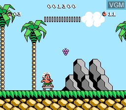 Image in-game du jeu Adventure Island 3 sur Nintendo NES