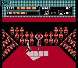 Image in-game du jeu Karate Kid, The sur Nintendo NES