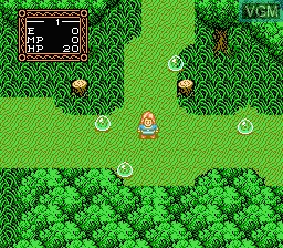 Image in-game du jeu Willow sur Nintendo NES