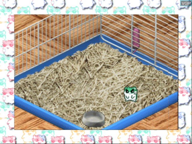 Image in-game du jeu Hamster Monogatari 64 sur Nintendo 64