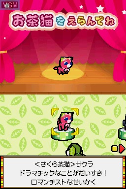 Image in-game du jeu Ochaken no Daibouken 2 - Yume Ippai no Omocha Hako sur Nintendo DS