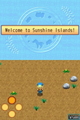 chicken mini game sunshine island harvest moon